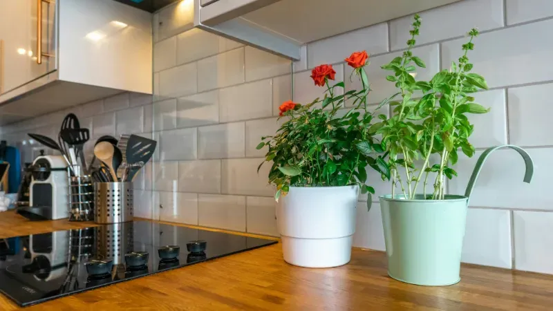 Reforma Parcial | Cocina | Reformas GV